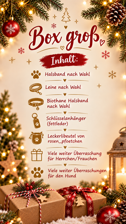 Weihnachtsbox groß