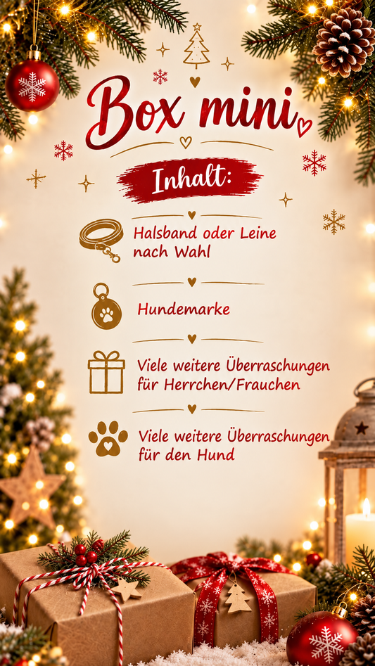 Weihnachtsbox mini