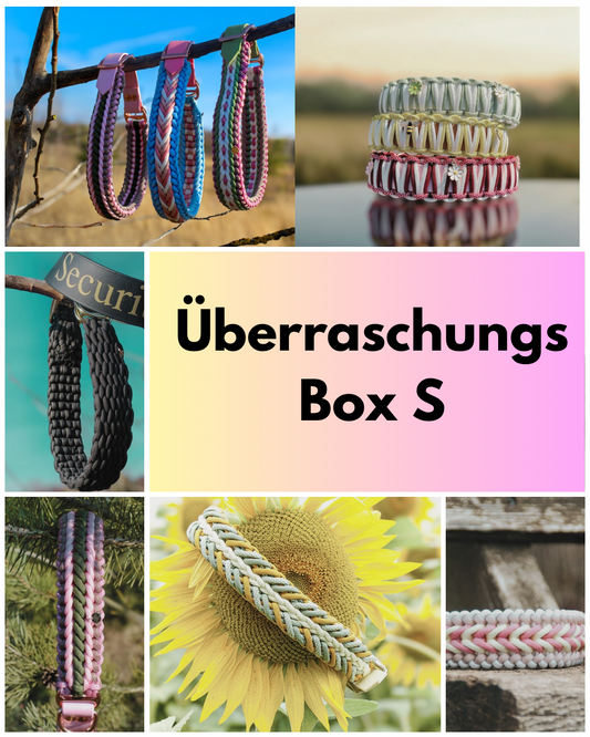 Überraschungs Box S