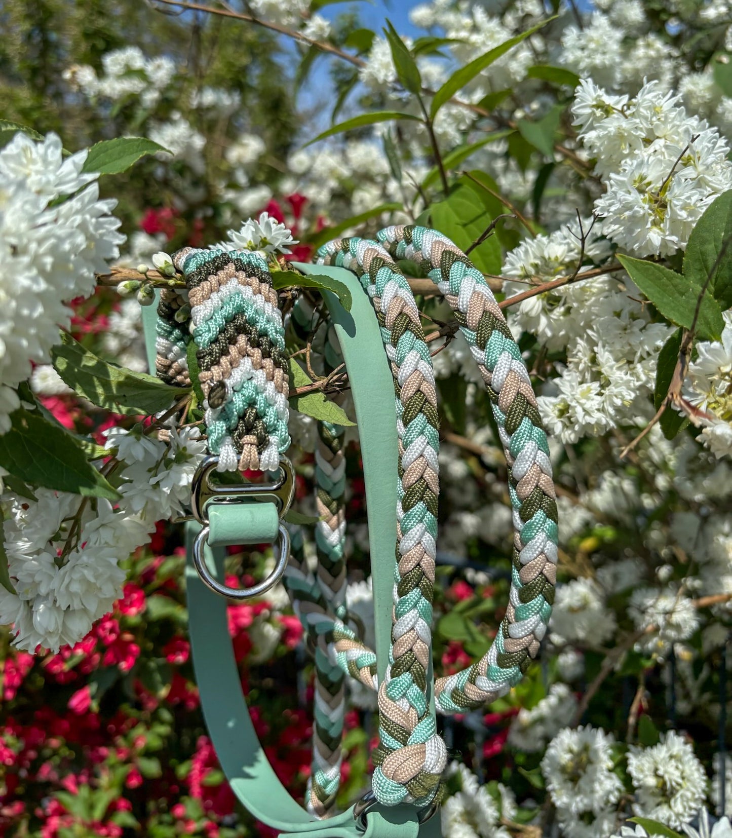 Mint Meadow