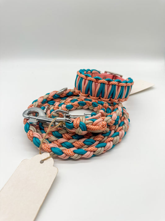 Biothane Set (Halsumfang 30-35cm)