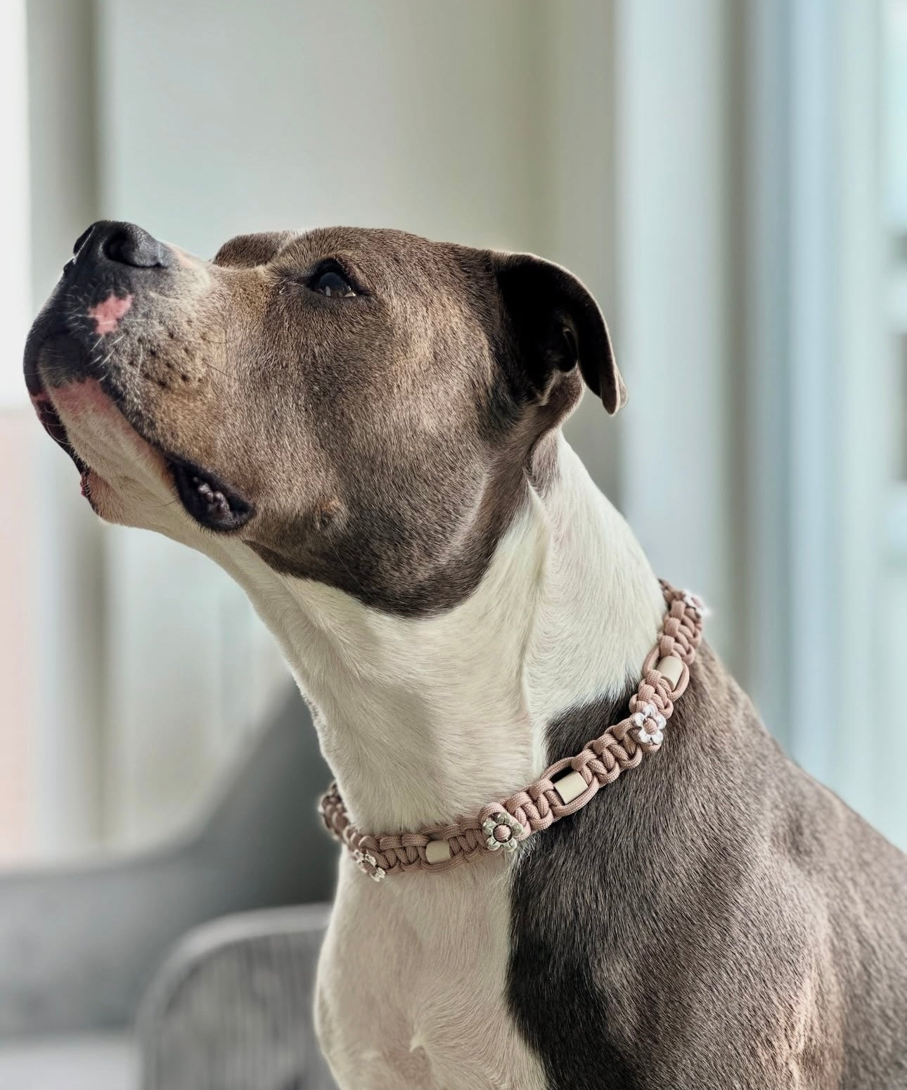 EM Keramik Schmuckhalsband