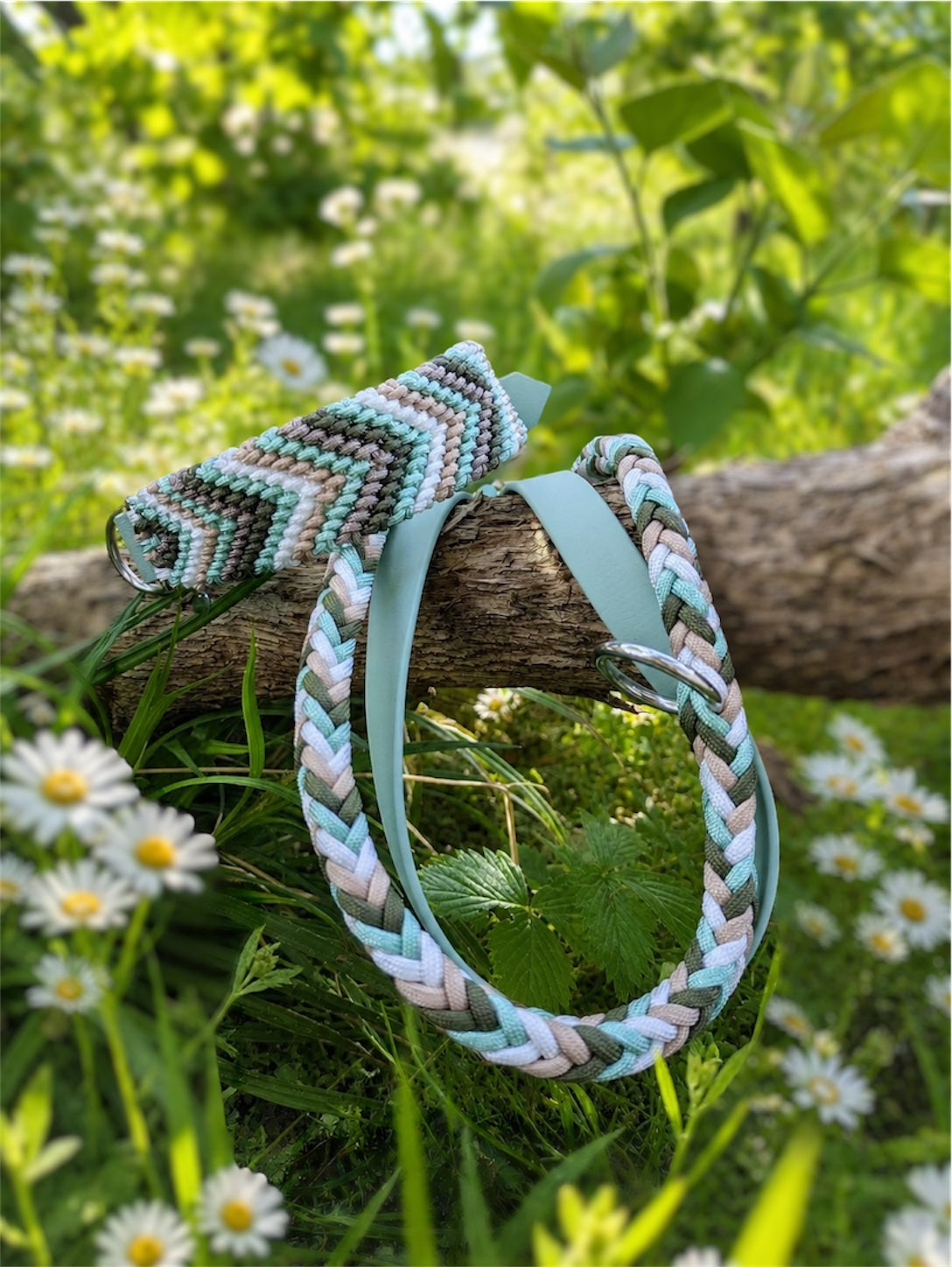 Mint Meadow