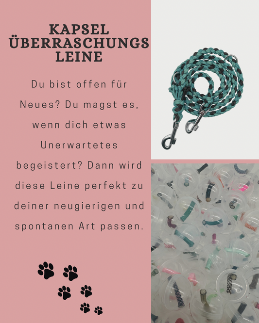 Kapselbestellung Leine
